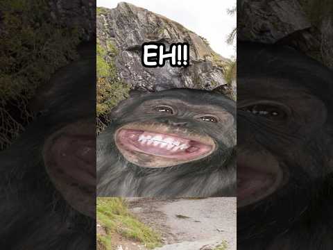 Monkey Sees Magic Trick and Loses It! #funny #monkey