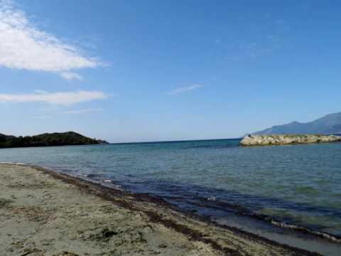 Shawn Colvin - I Never Saw Blue Like That