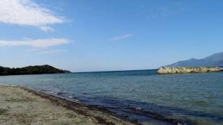 Download lagu Shawn Colvin - I Never Saw Blue Like That mp3 Download lagu Shawn Colvin - I Never Saw Blue Like That mp3