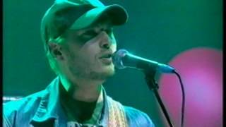 The Bees - Wash In The Rain (Live)