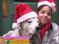 Noggin S Getting Going Elmo S Thinking About Happy Holidays Elmo S World