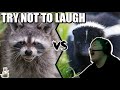 TRY NOT TO LAUGH