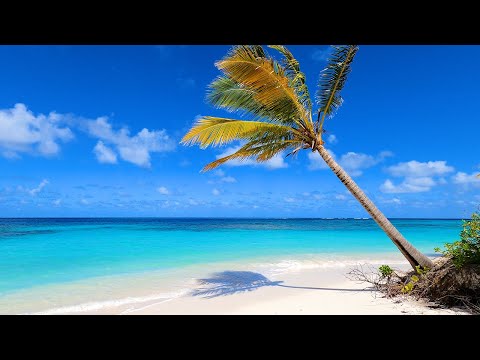 Sea Breeze: 3 Hours of Beach Ambience From The Caribbean