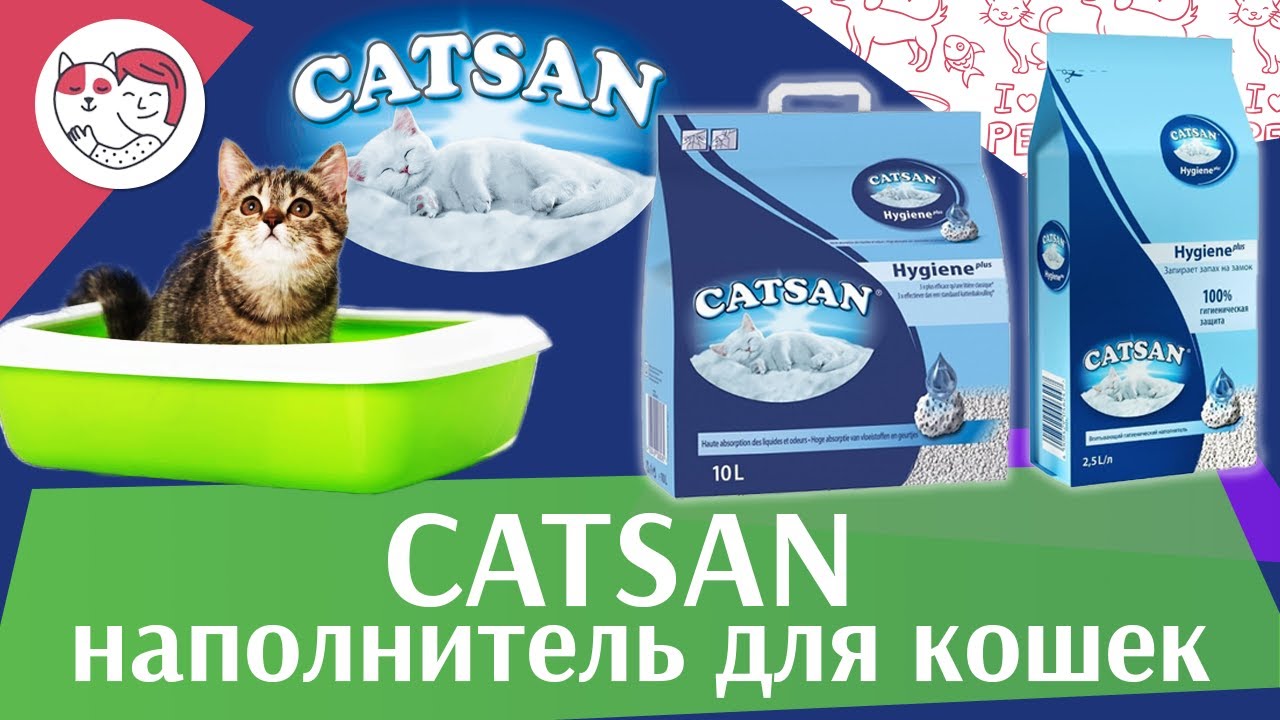 Catsan на ilikepet