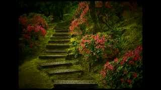 Smoke and Ashes by Jonemac