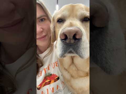 Получилось повторить?🤔