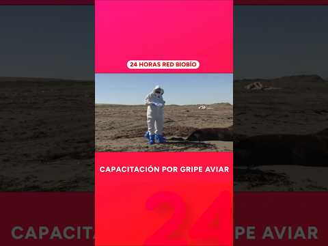 Capacitan a agricultores para evitar la gripe aviar en Santa Bárbara