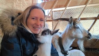 Was gibt es neues bei unseren Tieren