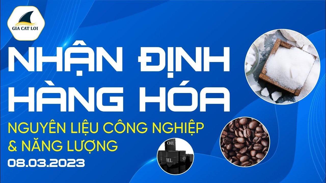 Nhận Định Hàng Hoá Năng Lượng & Nguyên Liệu Công Nghiệp Ngày 08/03/2023