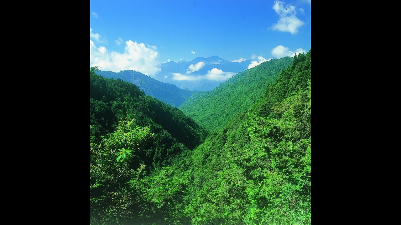 太平山國家森林遊樂區景觀平台
