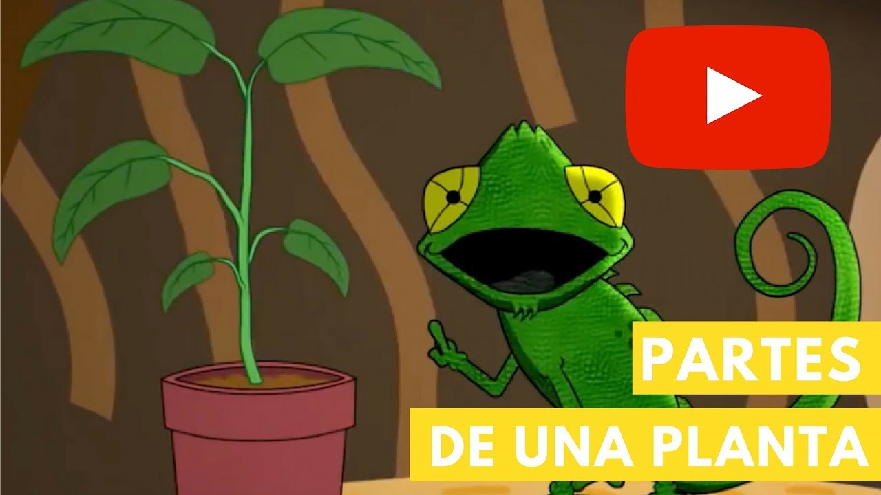 Partes de una planta | Camaleón