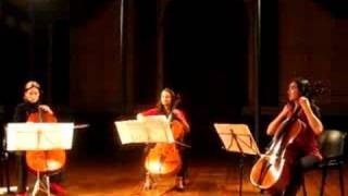 Acollaradas Cello Trío- Olvidate