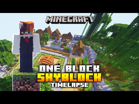 Minecraft OneBlock SkyBlock - Timelapse #1
