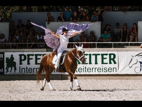 Das Finale in Aachen - Mustang Makeover 2018 - Prüfungen mit Equiteam's Whisper aka Sissi