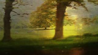 Kate Jackson - Homeward Bound