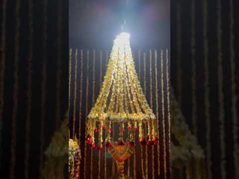 Mogra Mohatsav #shorts #youtubeshorts