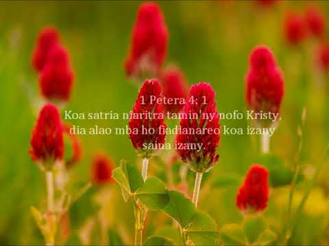 Fihirana fanampiny 41 Jeso no mpanavotra