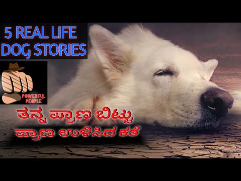 Real Life Dog Stories in Kannada | Kannada motivational video