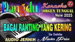 Download lagu Bagai Ranting Yang Kering - Iis Dahlia || Karaoke Dangdut (Nada Pria) Audio Jernih mp3 Download lagu Bagai Ranting Yang Kering - Iis Dahlia || Karaoke Dangdut (Nada Pria) Audio Jernih mp3