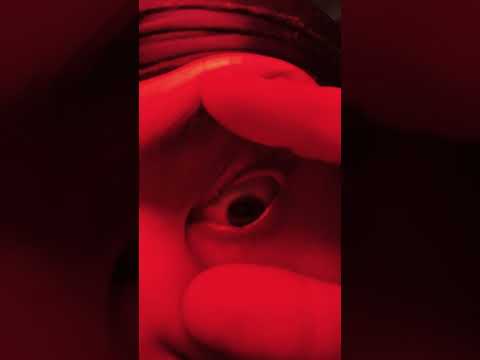 I see you👀😆#shorts#@eddiemora9300