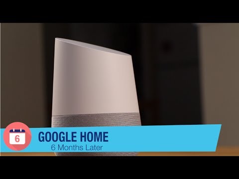 Google Home Review - 6 Months Later Video