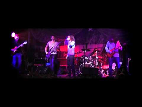 Kung Fu Chicken Fighters - Kung Fu Chicken Fighters -  Pirate Waltz Live