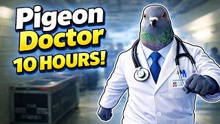 Pigeon Doctor 10 Hours