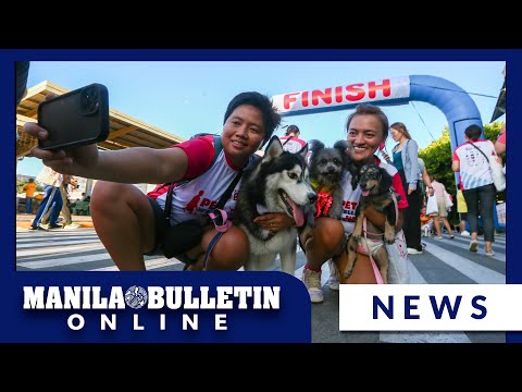 'Pet wellness walk' in Antipolo City as part of the celebration of International Pet Month