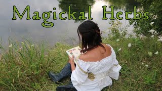 Ten  Essential Herbs for Green Witchcraft - A Beginner's Guide