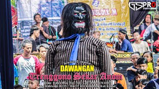 Download lagu DAWANGAN TRENGGONO SEKAR ANOM LIVE NGERJO 2 mp3 Download lagu DAWANGAN TRENGGONO SEKAR ANOM LIVE NGERJO 2 mp3
