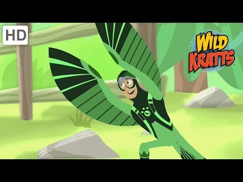 Wild Kratts - Creature Rescue Mission | Kids Videos