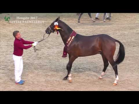 Little Fauntleroy *Neu 2017*