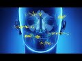Advil Allergy Congestion Relief