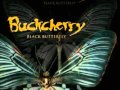 Buckcherry Black Butterfly 