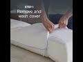 Spring Cleaning  pillow