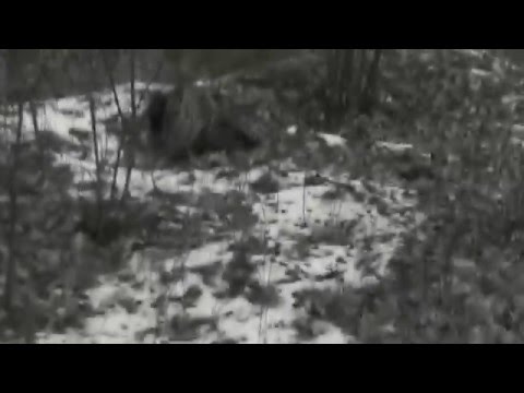 Vanad Varjud - Tume Kamber / Dismal Dusk [Video Clip]