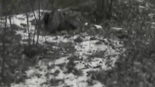 Vanad Varjud - Tume Kamber / Dismal Dusk [Video Clip]