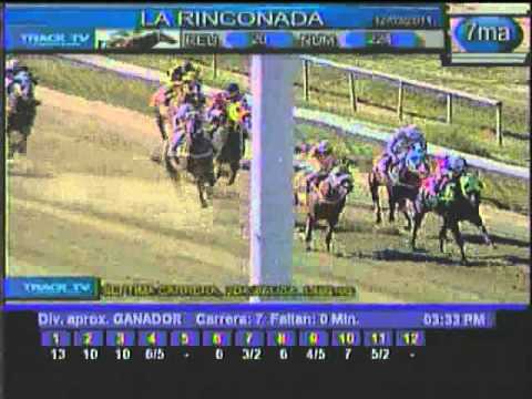 Resumen Sábado, 12 de Marzo de 2011 - La Rinconada