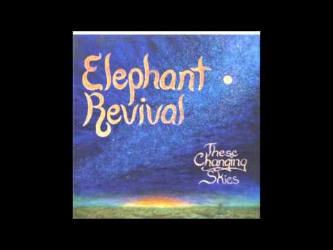 The Obvious by Elephant Revival