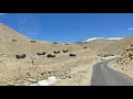 INDIAN ARMY TRUCK CONVOY IN LEH LADAKH INDIAN ARMY STATUS VIDEO MORE VIDEO SUBSCRIBE MY CHANNEL