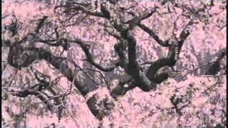 Eftos bows lyrics 167