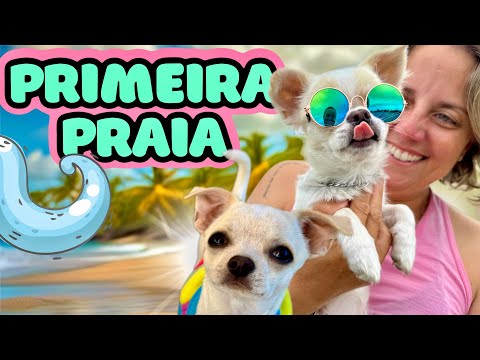 PRIMEIRA VEZ DA CLARA E NEVE NA PRAIA!