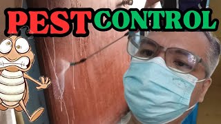 Nagpa-Pest Control Kami! Magkano Inabot?