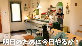【日常vlog】作り置きに細かい掃除、庭いじりにフル回転な主婦の1日