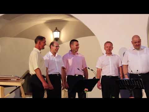 20 - Sem zaljubljen bil - ljudska, priredba Jože Leskovar, izvajajo: Koledniki z Rake