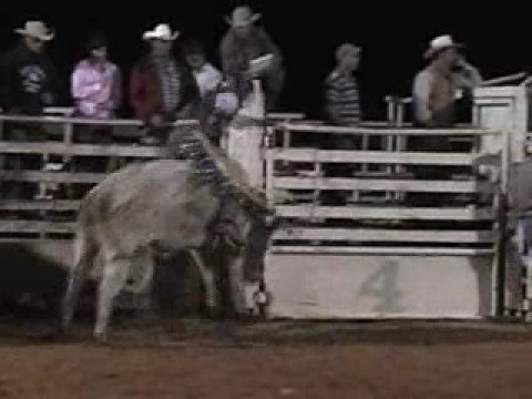 Bowman Buckin Bulls - #399 Spinner Bait II