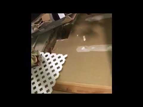 Mice droppings found in Monmouth Beach, NJ garage