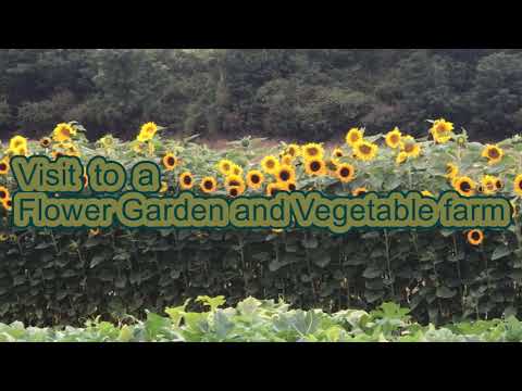 Gardening Intro Vlog from Ashitha