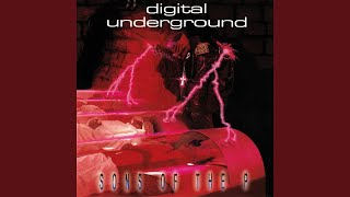 The D-Flowstrumental