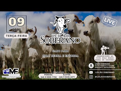 LEILÃO SOBERANO AO VIVO - INACIOLÂNDIA-GO - 09/04/2024